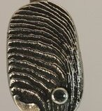 img-0603